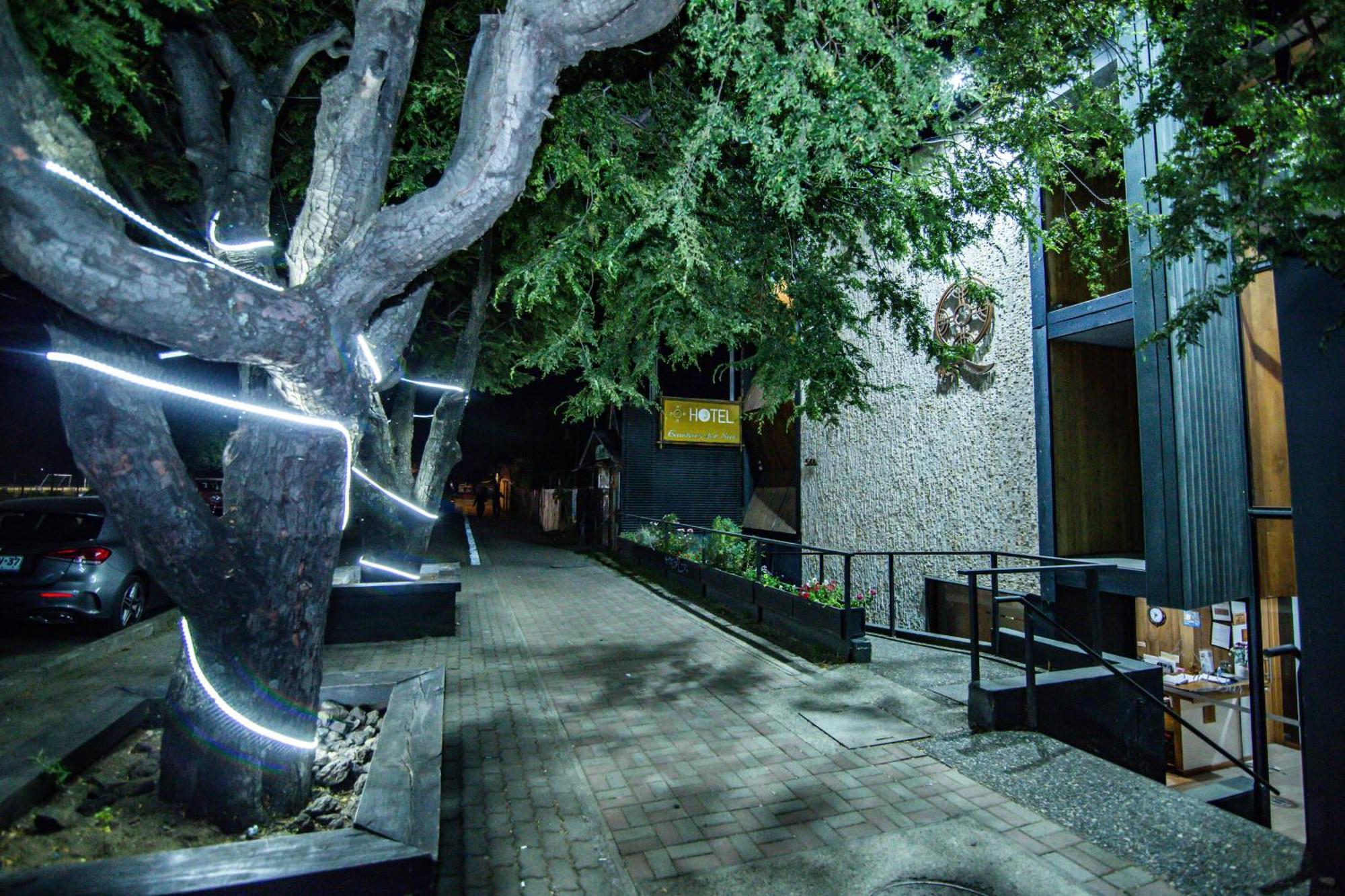 Hotel Cumbres Del Sur ปูกอน ภายนอก รูปภาพ